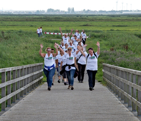 [Z]aan de Wandel 2015 op zondag 6 september!